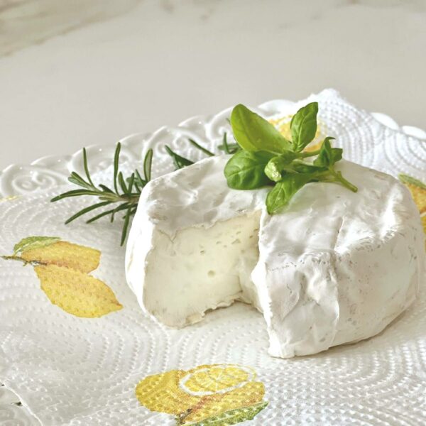 Ponte Reale Organic Buffalo Milk Camembert DOP 250 g (8.8 oz) × 4 pack