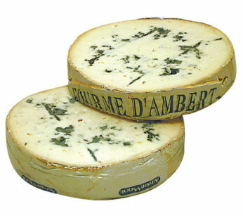 Fourme D’Ambert Cheese