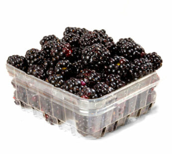 Quebec Blackberries