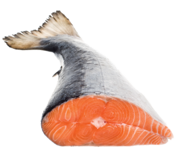 Fresh Half Atlantic Salmon