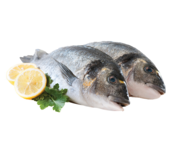 Fresh Cleaned Mediterranean Porgies