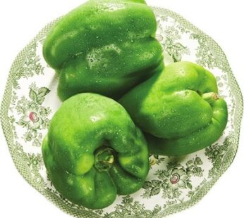 POIVRONS VERTS | GREEN PEPPERS