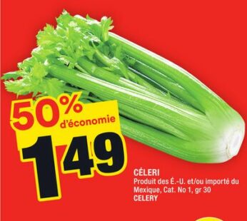 CÉLERI | CELERY