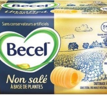 Becel Plant-Based Bricks