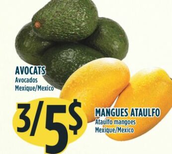 AVOCATS, MANGUES ATAULFO