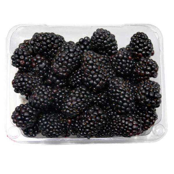 Blackberries 340 g