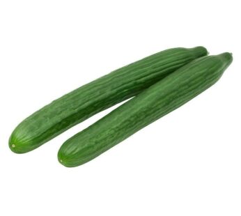 English Cucumbers Pack of 12
