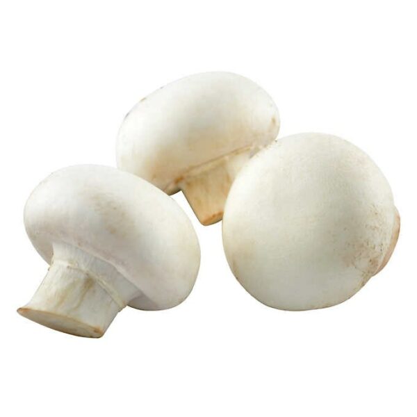 Whole White Mushrooms  2.27 kg