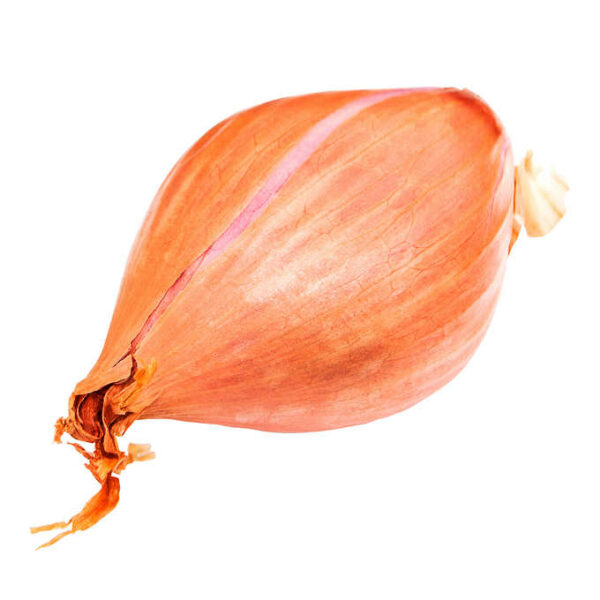 Shallots 1.36 kg