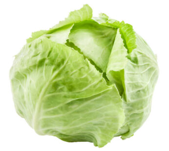 Green Cabbage Pack of 12 to 14